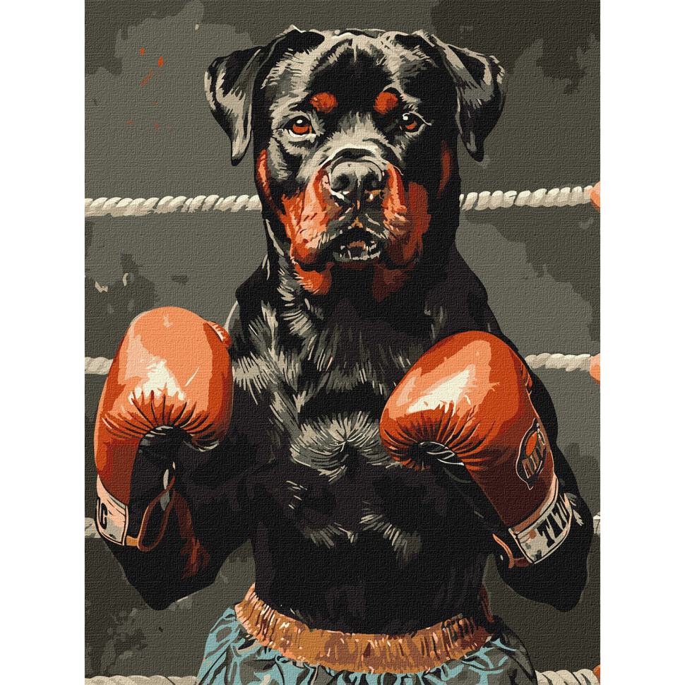 Картина по номерам Ideyka Ринговая сила 30х40 см (KHO6647)