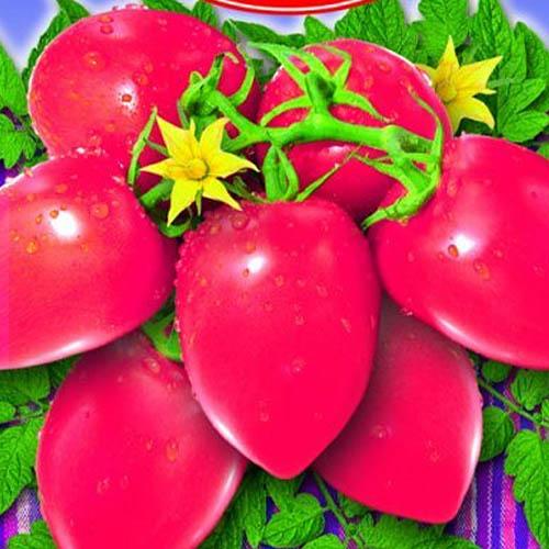 Семена Томат Florium Жіночий пальчик (17136)