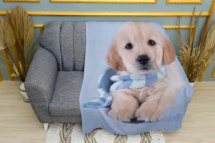 Плед Little puppy Blue scarf плюш двухслойный 135х150 см (113999-2)