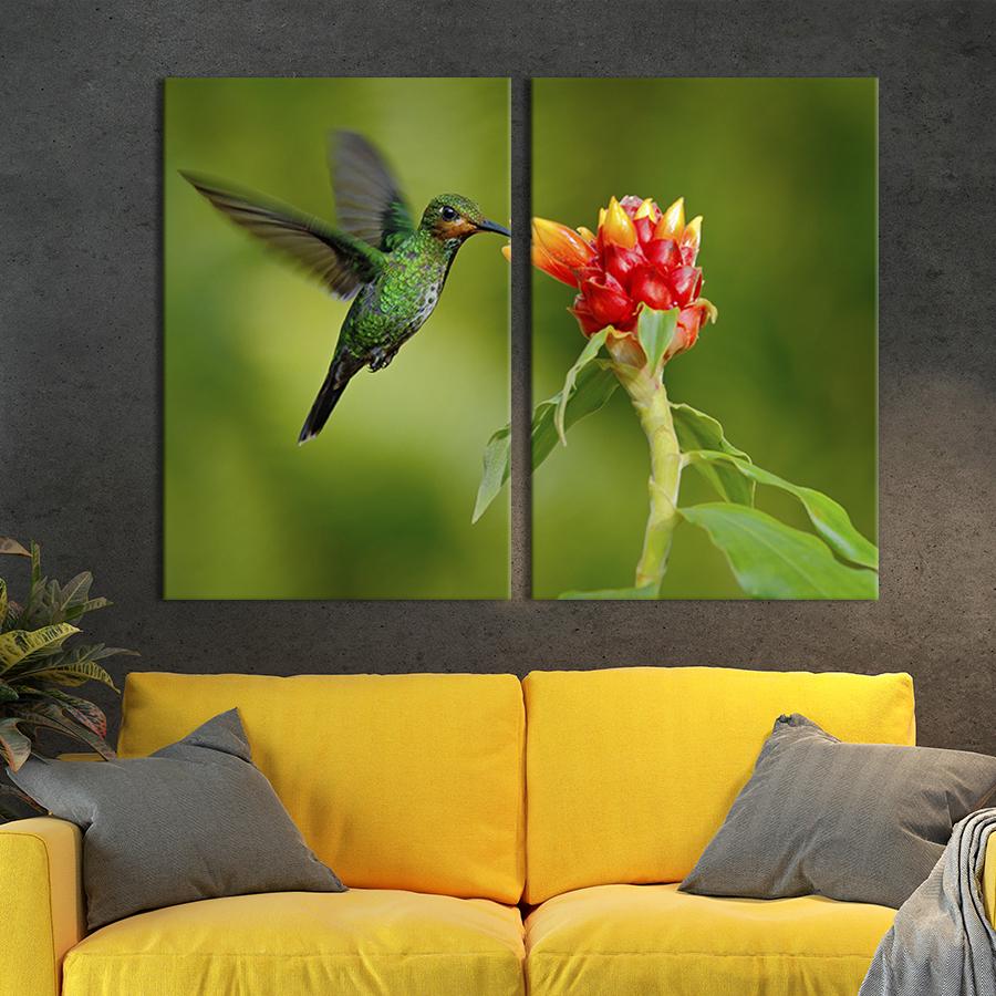 Модульная картина на холсте Диптих Неутомимая колибри 71x51 см (156-2)