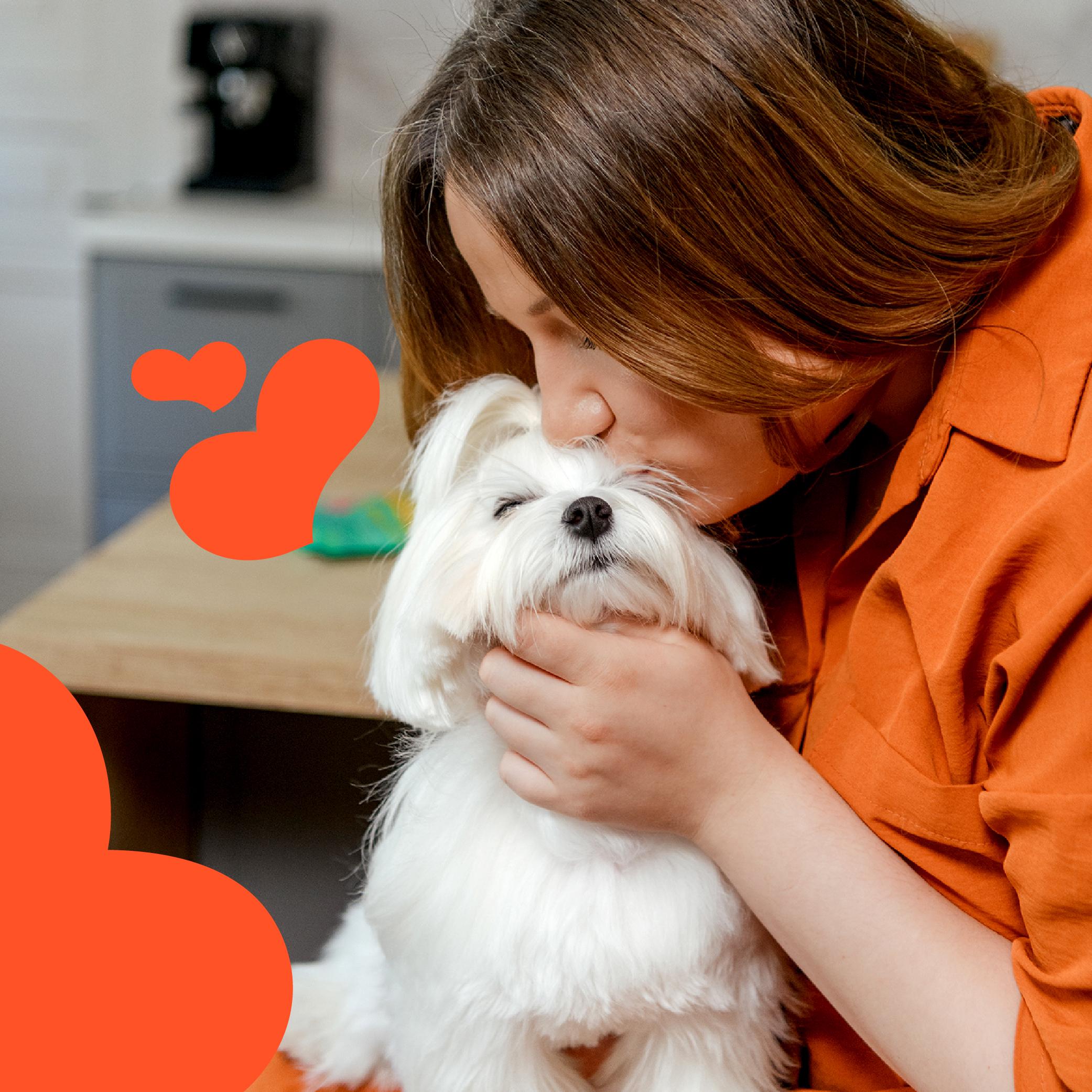 Ласощі для собак Mavsy Refined jerky SALMON ROLLS WITH RED CAVIAR філадельфія з лососем і червоною ікрою від 3-х місяців 100 г (24628244) - фото 5