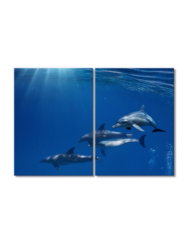 Картина модульная Семейство дельфинов 2 модуля 70x105 см