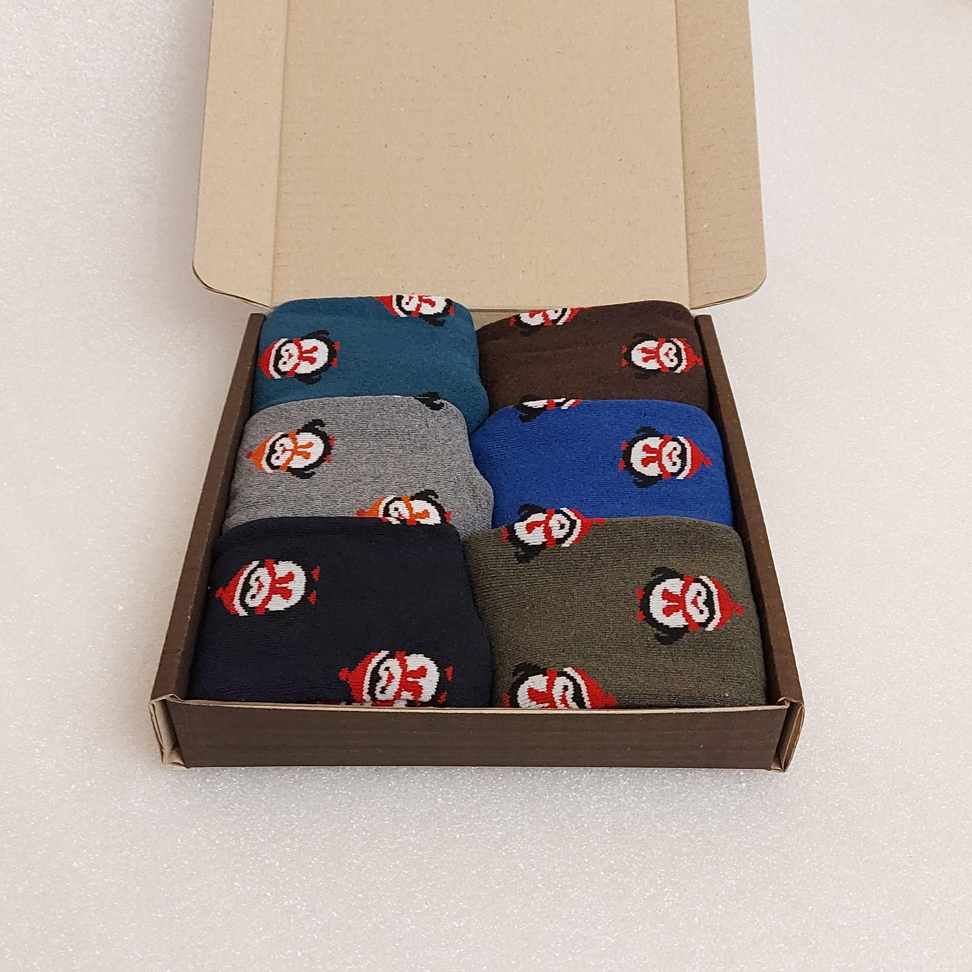 Набір шкарпетки жіночі зимові махрові Житомир Пінгвіни 6 пар р. 37 Різнокольорові (0561)