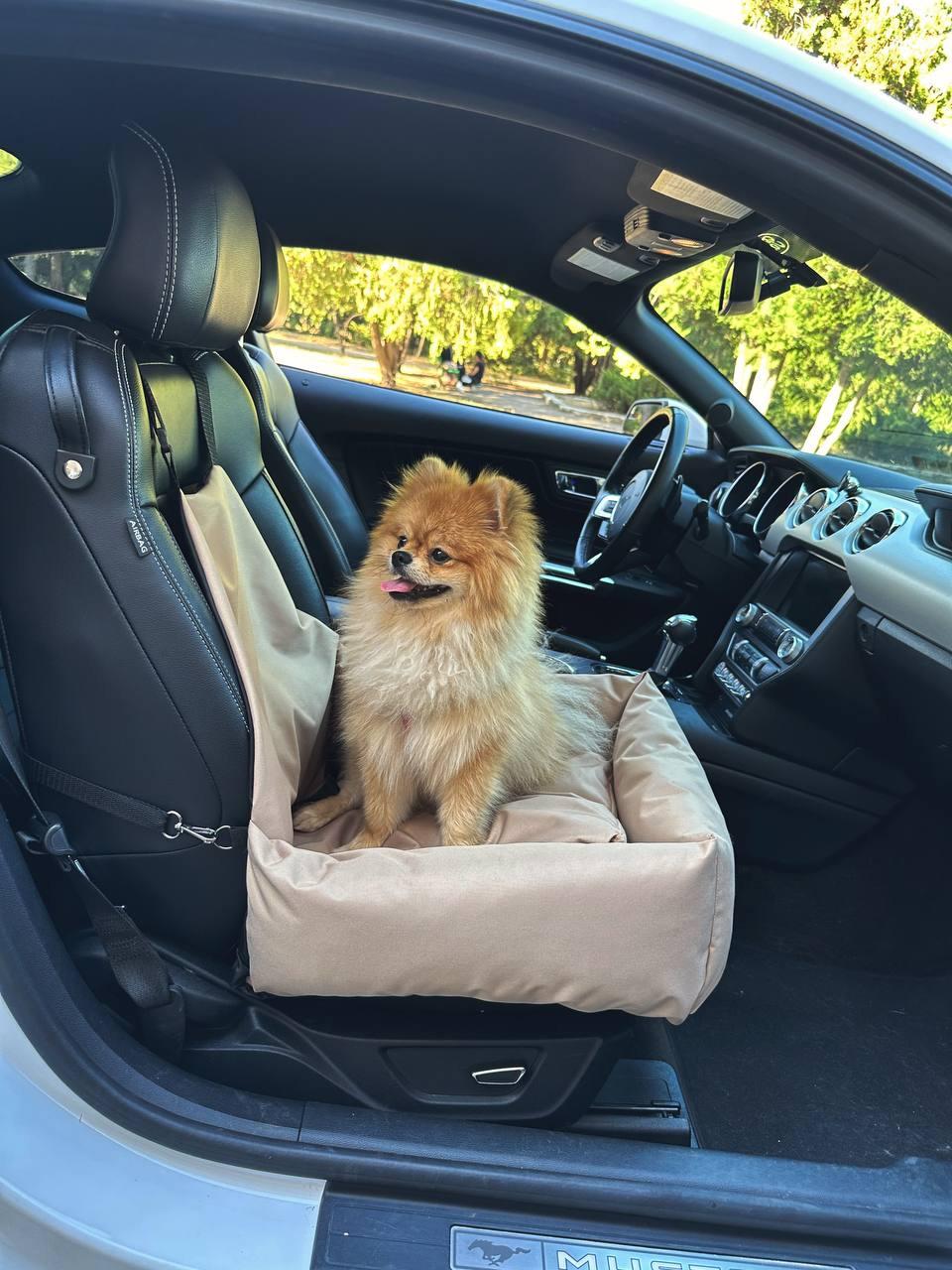 Автокрісло-автогамак Incor для собак і кішок зі знімним чохлом 52x52 см Бежевий (Б-52) - фото 2 Автокрісло-автогамак Incor для собак і кішок зі знімним чохлом 52x52 см Бежевий (Б-52) - фото 2