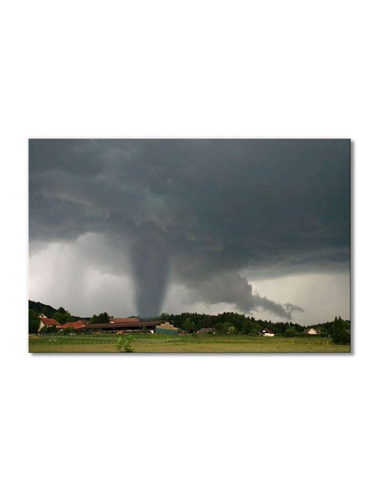 Картина модульная Разрушение окружающей природной среды 1 модуль 60x90 см