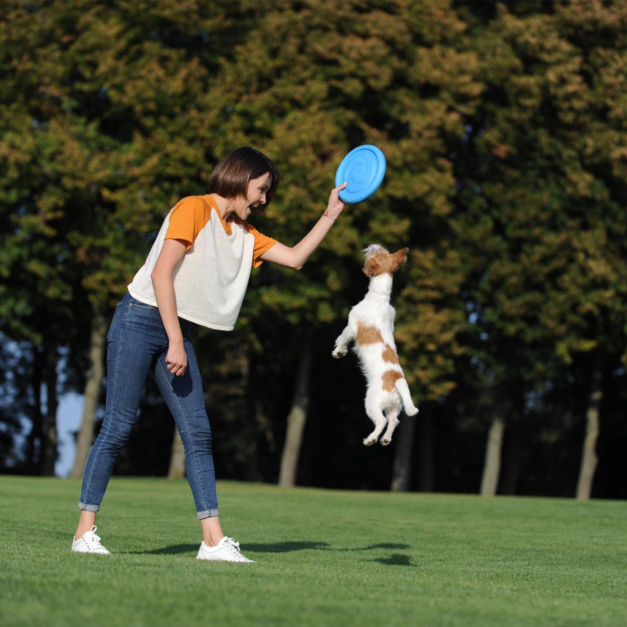 Літаючий диск для ігор та тренувань PitchDog Блакитний (62472) - фото 5 Літаючий диск для ігор та тренувань PitchDog Блакитний (62472) - фото 5