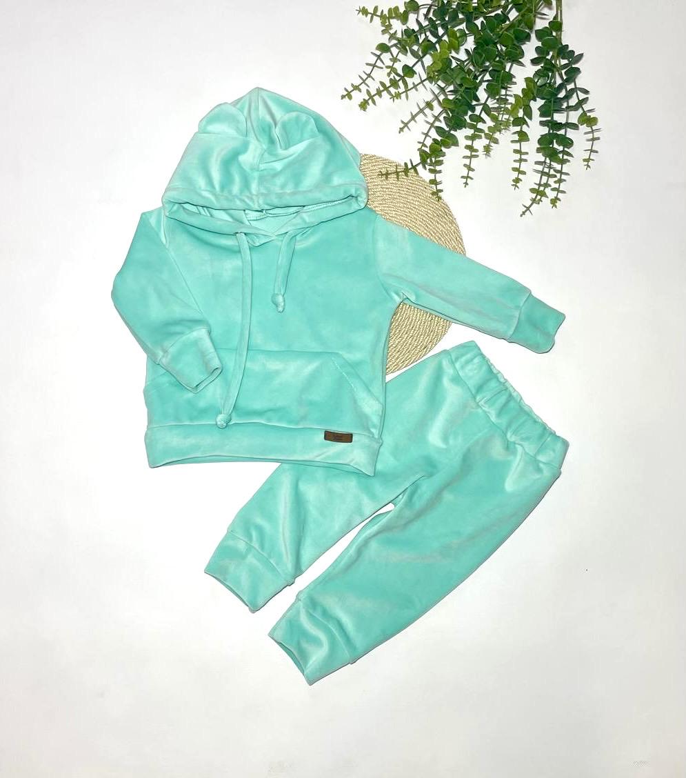 Костюм велюровый кофта и брюки для девочек (403,3)