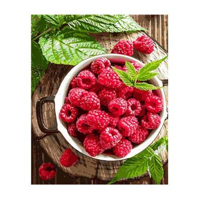 Набор для росписи по номерам Strateg Малина 40х50 см (VA-1117-mt)