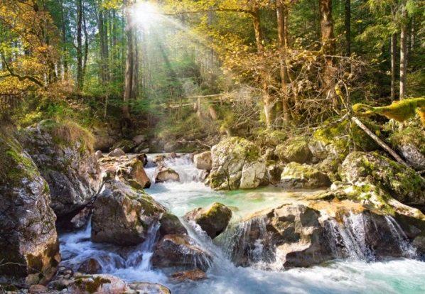 Пазл Лесной Ручей 2000 элементов (C-200382-CS)