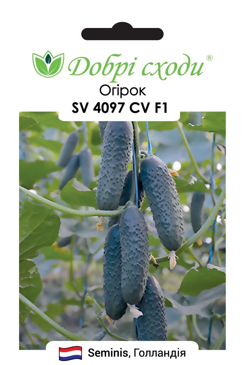 Семена огурец СВ/SV 4097 F1 Добрі Сходи 10 шт. (01010005)