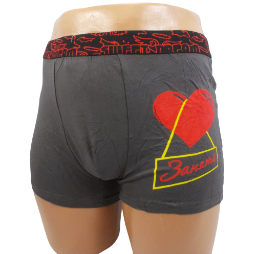 Трусы боксеры Redoor 3253 3XL Серый