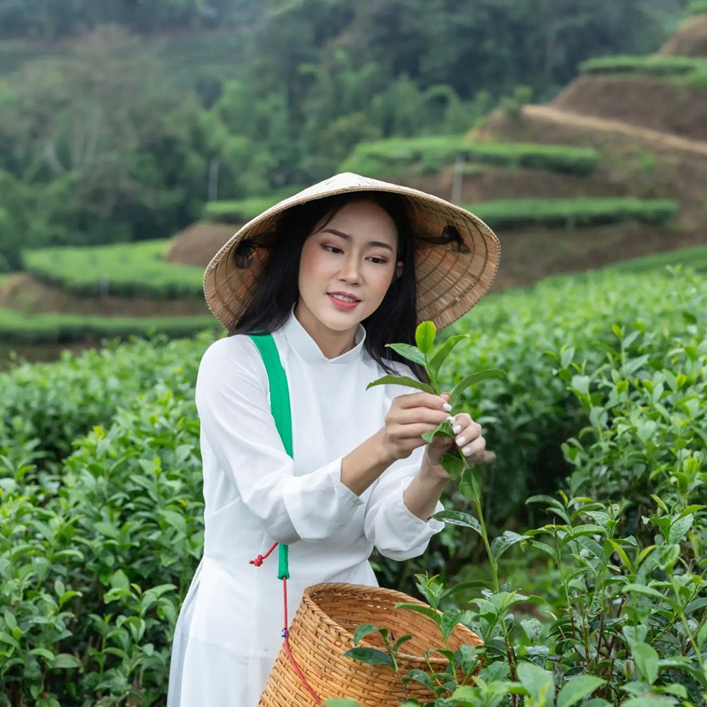 Чай композиційний розсипний Копакабана 250 г - фото 5