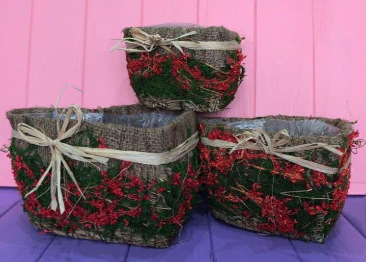Набор кашпо в форме сердца Decors Forest N-14-4-1 3 шт. Красный (DR001006) Набор кашпо в форме сердца Decors Forest N-14-4-1 3 шт. Красный (DR001006)
