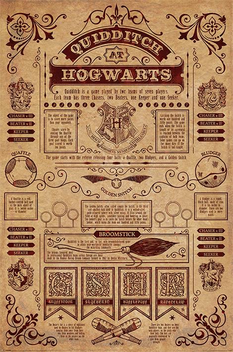 Постер плакат Гарри Поттер Квиддич/Harry Potter Quidditch At Hogwarts 61x91,5 см