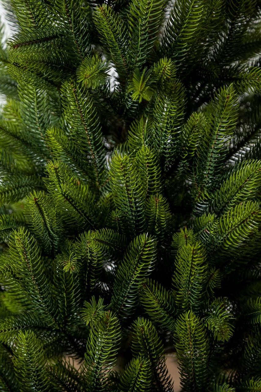 Елка литая SG Лапландская в горшке весенняя 1,10 м - фото 4