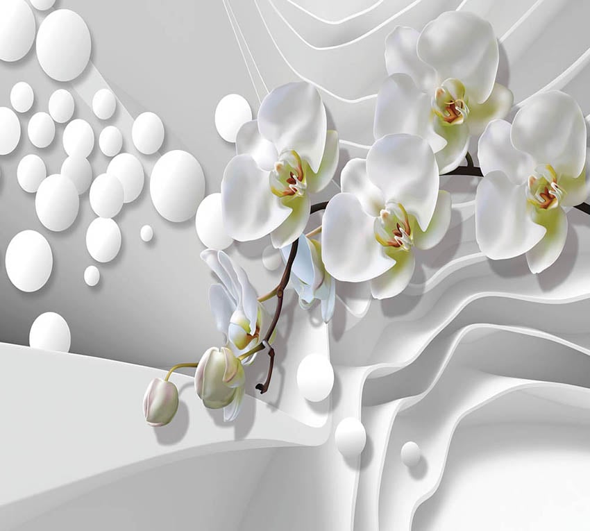 Фотообои WS Wallpaper 3D Орхидеи 294x270 см (31273) Фотообои WS Wallpaper 3D Орхидеи 294x270 см (31273)