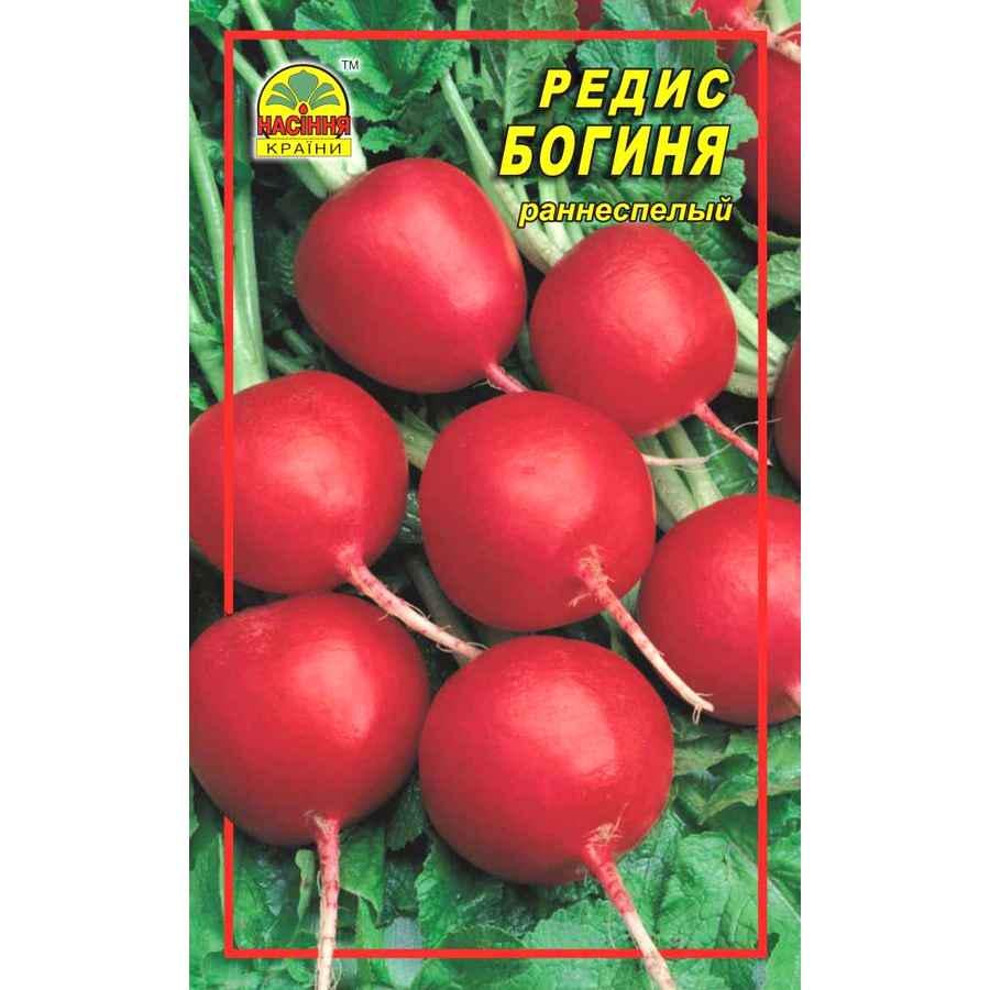 Семена редиса Насіння країни Богиня 3 г (1137297724) Семена редиса Насіння країни Богиня 3 г (1137297724)