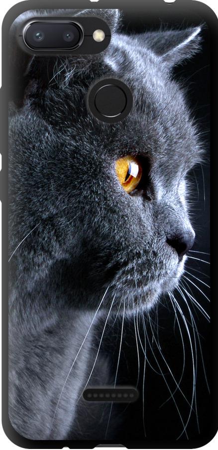 Чехол на Xiaomi Redmi 6 Красивый кот (3038b-1521-42517) Чехол на Xiaomi Redmi 6 Красивый кот (3038b-1521-42517)