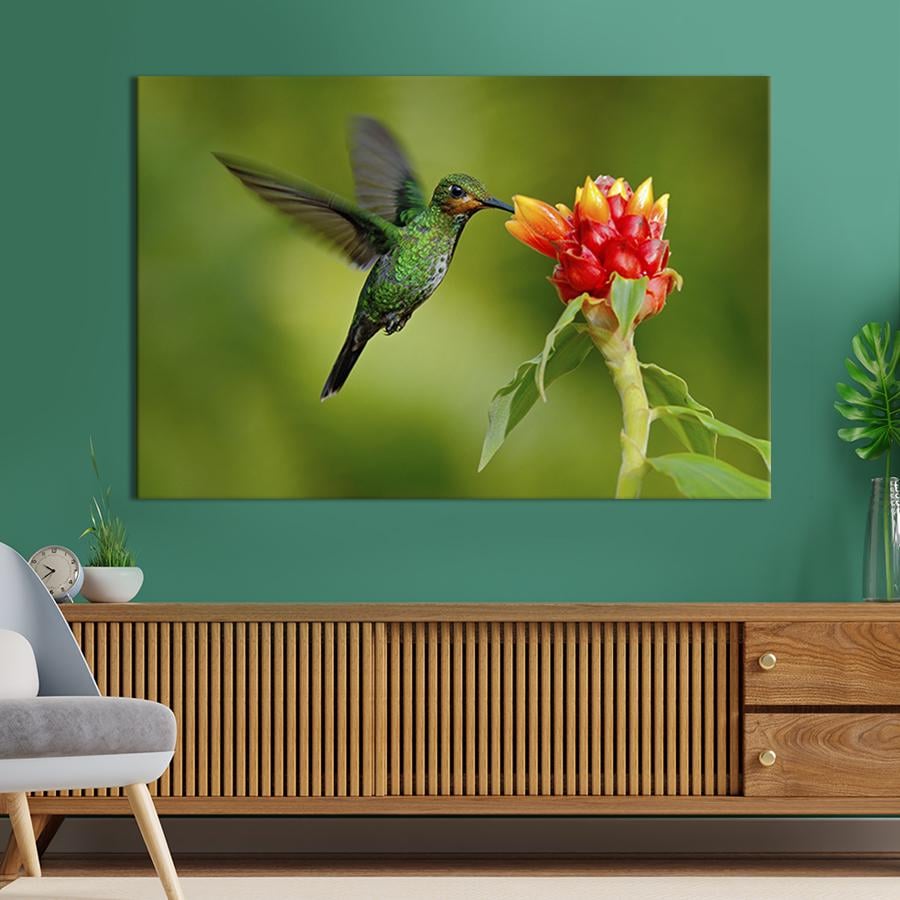 Картина на холсте Колибри 75x50 см (156-1)