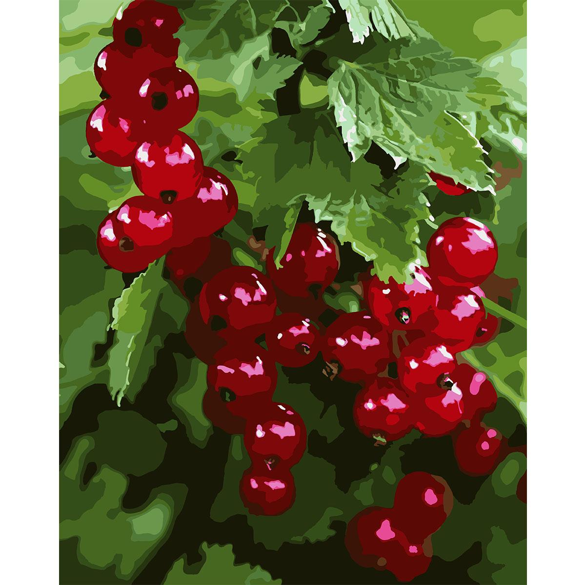 Картина по номерам Santi Смородина 40x50 см (Top-954799)