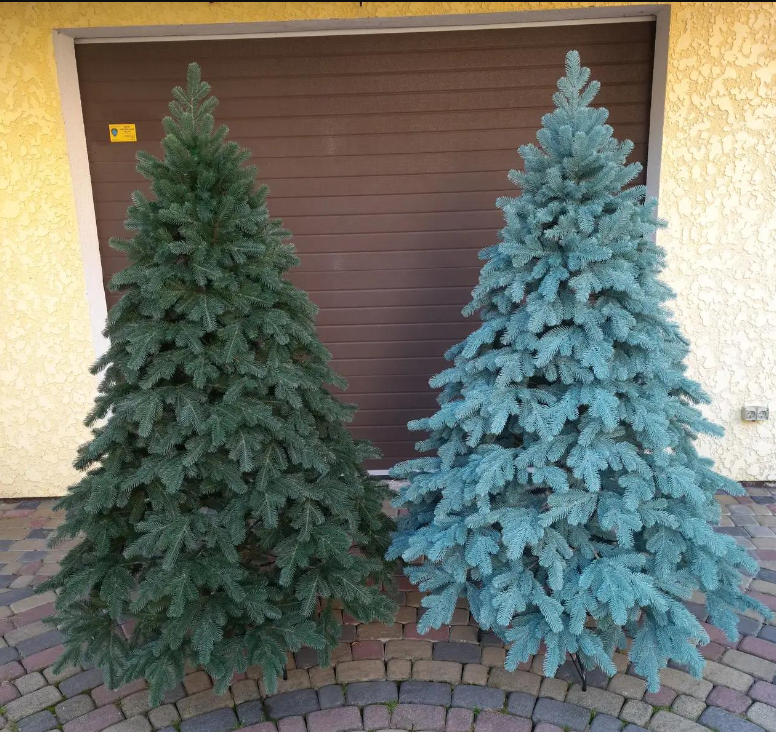 Штучна ялинка лита Елітна з підставкою 2,50 м Зелений (NYT15297) - фото 10 Штучна ялинка лита Елітна з підставкою 2,50 м Зелений (NYT15297) - фото 10