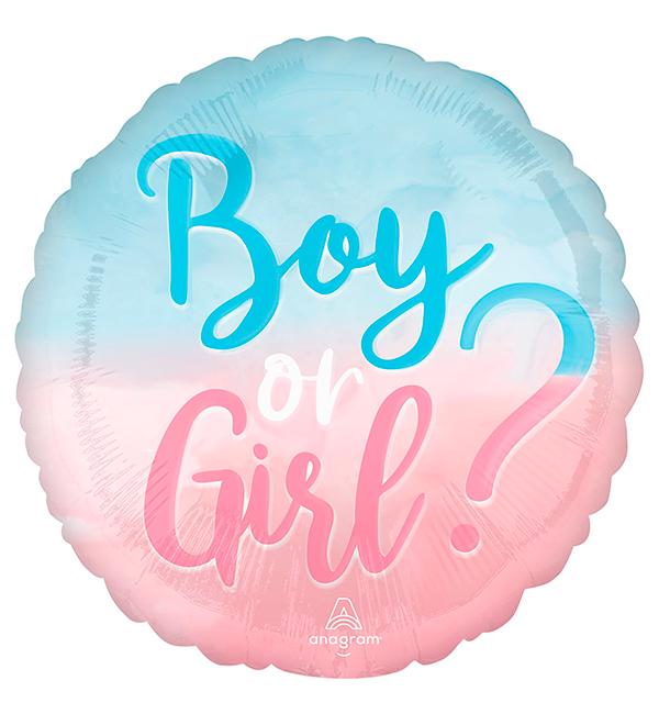 Воздушные шарики Boy or Girl 45 см  (52028)