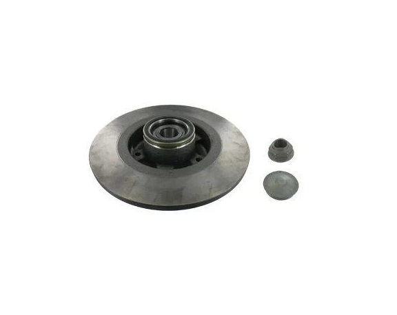 Диск гальмівний задній SKF Renault Scenic III 09- +ABS з підшипником 274х11 мм (VKBD 1028 SKF)