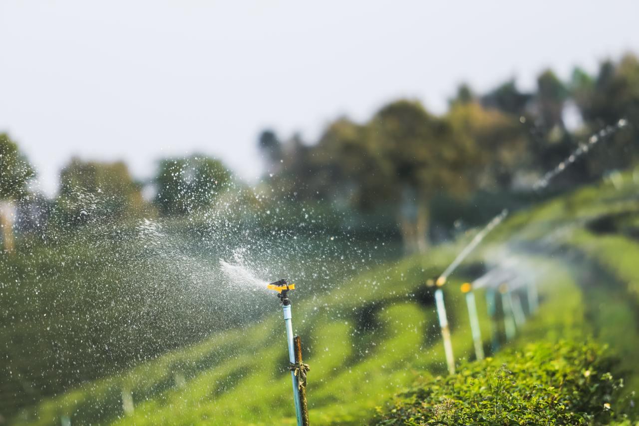 Дождеватель Presto-PS ороситель импульсный секторный для огорода на 2 форсунки (5023) - фото 5 Дождеватель Presto-PS ороситель импульсный секторный для огорода на 2 форсунки (5023) - фото 5