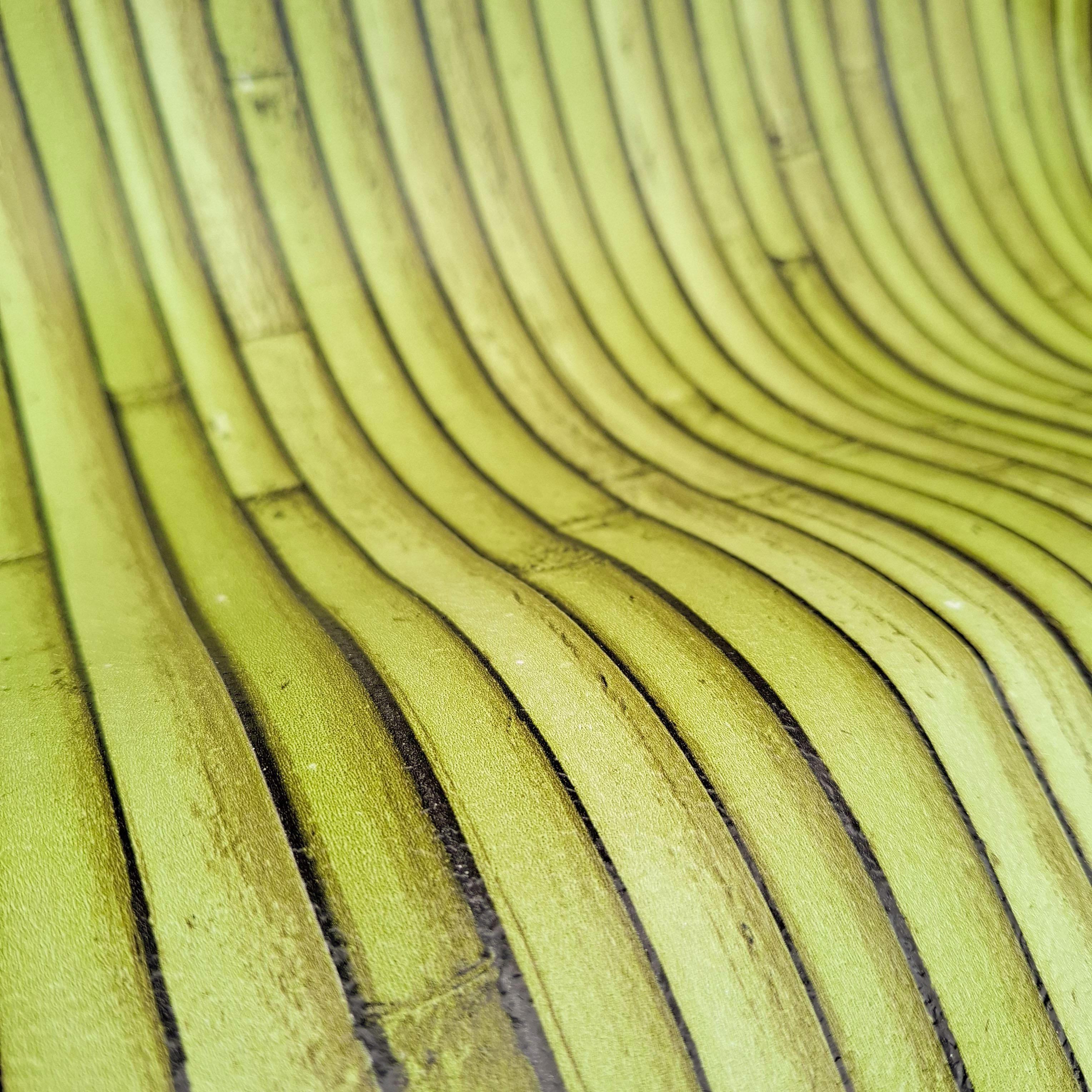 Шпалери прості паперові Шарм Бамбук 177-03 - фото 3 Шпалери прості паперові Шарм Бамбук 177-03 - фото 3