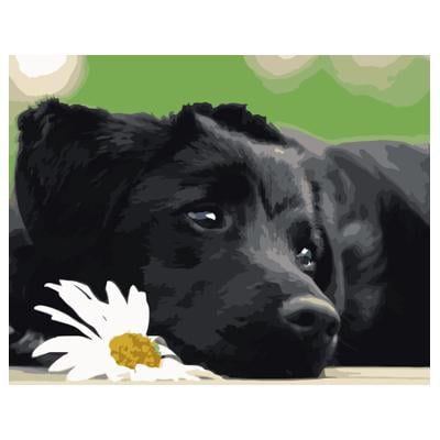 Картина по номерам Strateg Черный щенок 40х50 см термопакет (VA-0518)