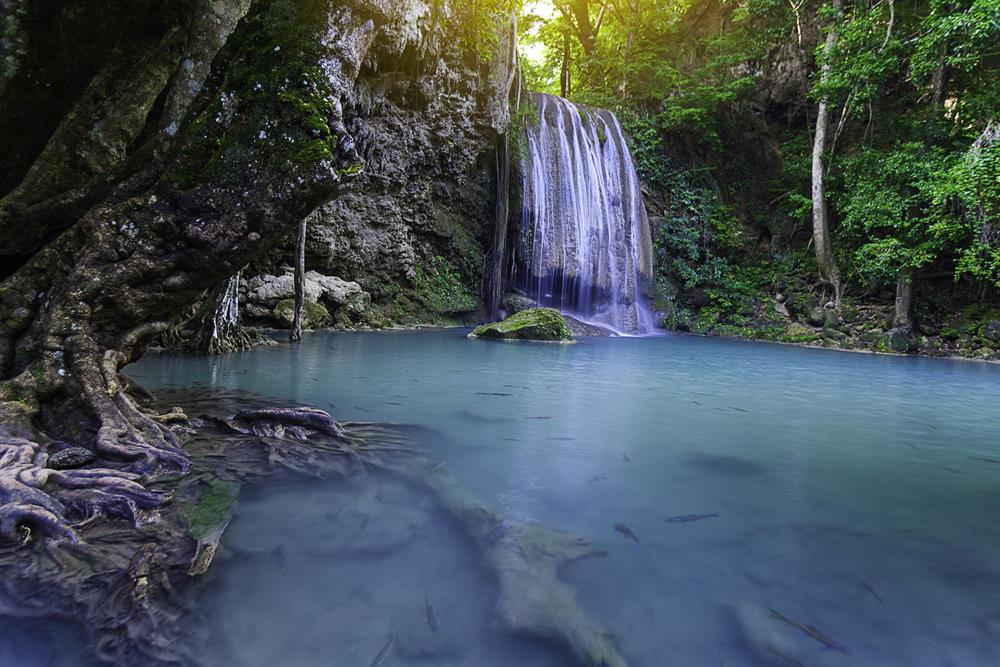 Картина Природа PR198 55х85 см