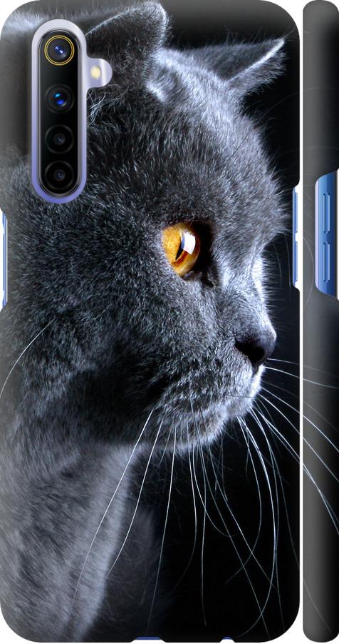 Чехол на Realme 6 Красивый кот (3038m-1913-42517) Чехол на Realme 6 Красивый кот (3038m-1913-42517)
