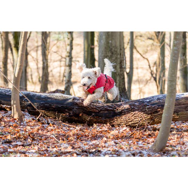 Дощовик для собак Trixie Vimy 70 см Червоний (TX-680228) - фото 5 Дощовик для собак Trixie Vimy 70 см Червоний (TX-680228) - фото 5