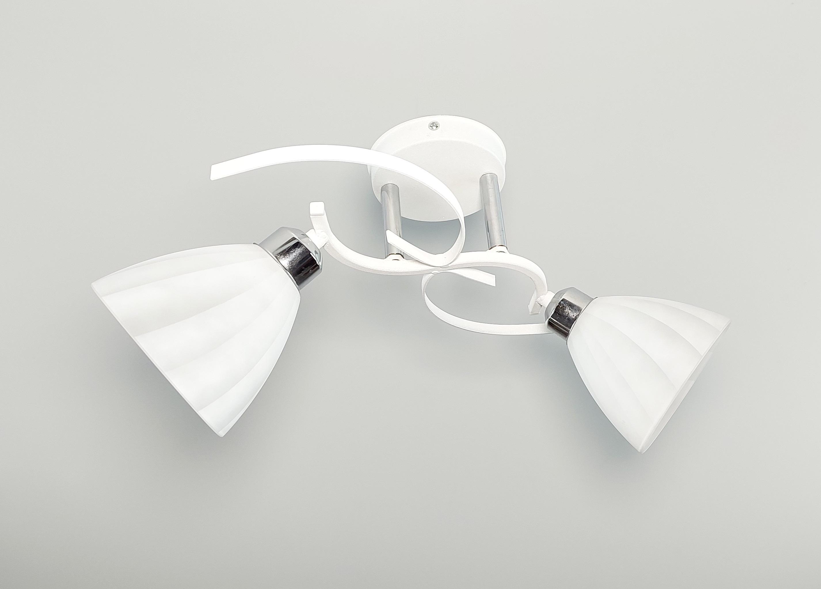 Люстра потолочная Лофт 3222/2 на два плафона металлическая Белый Люстра потолочная Лофт 3222/2 на два плафона металлическая Белый