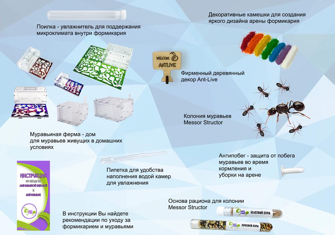 Комплект ANT-LIVE Хмарочос з мурашиною фермою та мурахами (3cdf8d3b) - фото 2