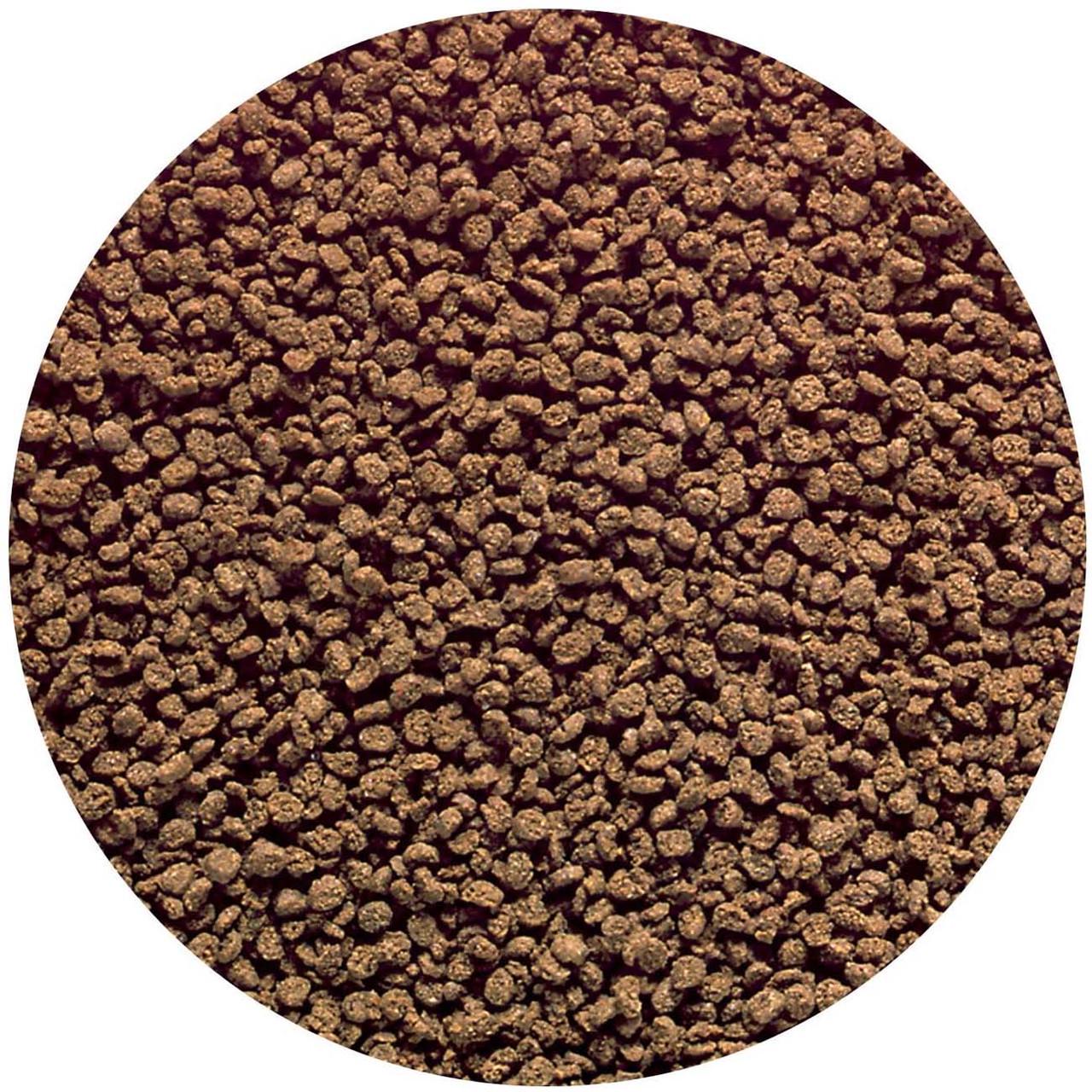 Корм сухой Hikari Tropical Discus Bio-Gold для дискусов 6-15 см/в гранулах ~1-1,5 мм /80 г тонущий (22316) - фото 2 Корм сухой Hikari Tropical Discus Bio-Gold для дискусов 6-15 см/в гранулах ~1-1,5 мм /80 г тонущий (22316) - фото 2