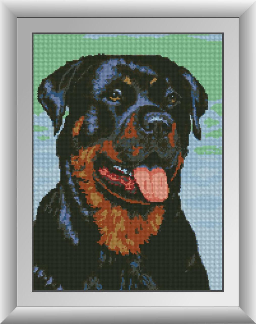 Алмазная мозаика Dream Art Ротвейлер 37x50 см (DA.30101)