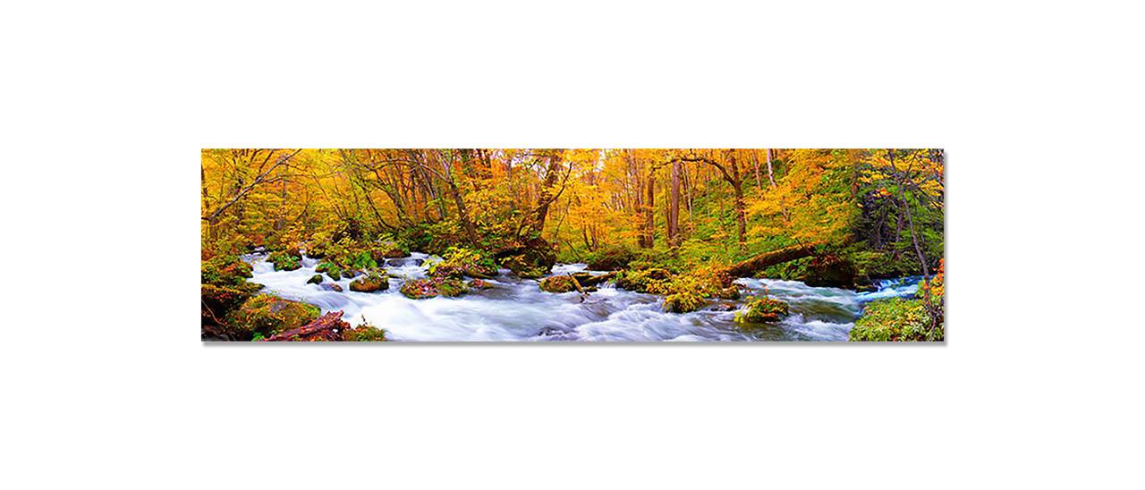 Наліпка вінілова 3D Zatarga Лісова річка 650х2500 мм (1274514233) Наліпка вінілова 3D Zatarga Лісова річка 650х2500 мм (1274514233)