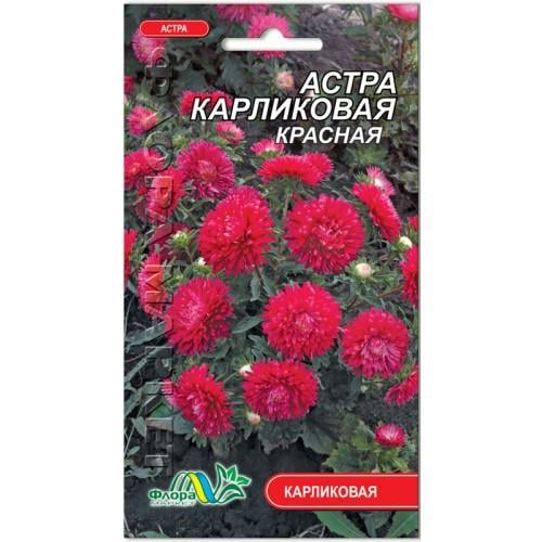 Семена Астра Карликова красный 0,3 г (25837)