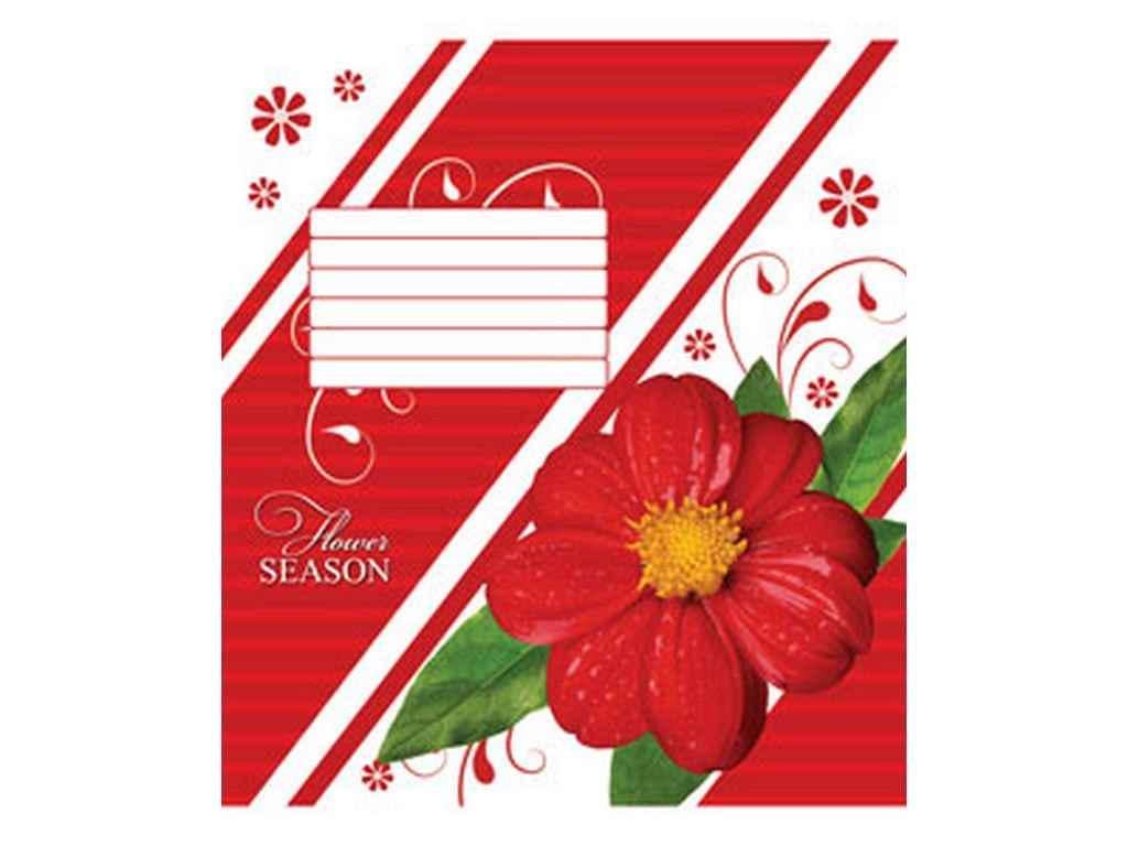 Тетрадь в линию Мечты сбываются 12 л. 20 шт. 2544л Цветочный сезон (750705)