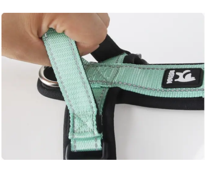 Поводок-шлея для собак на 2 кольца светоотражающая S Зеленый (1B0200) - фото 5 Поводок-шлея для собак на 2 кольца светоотражающая S Зеленый (1B0200) - фото 5