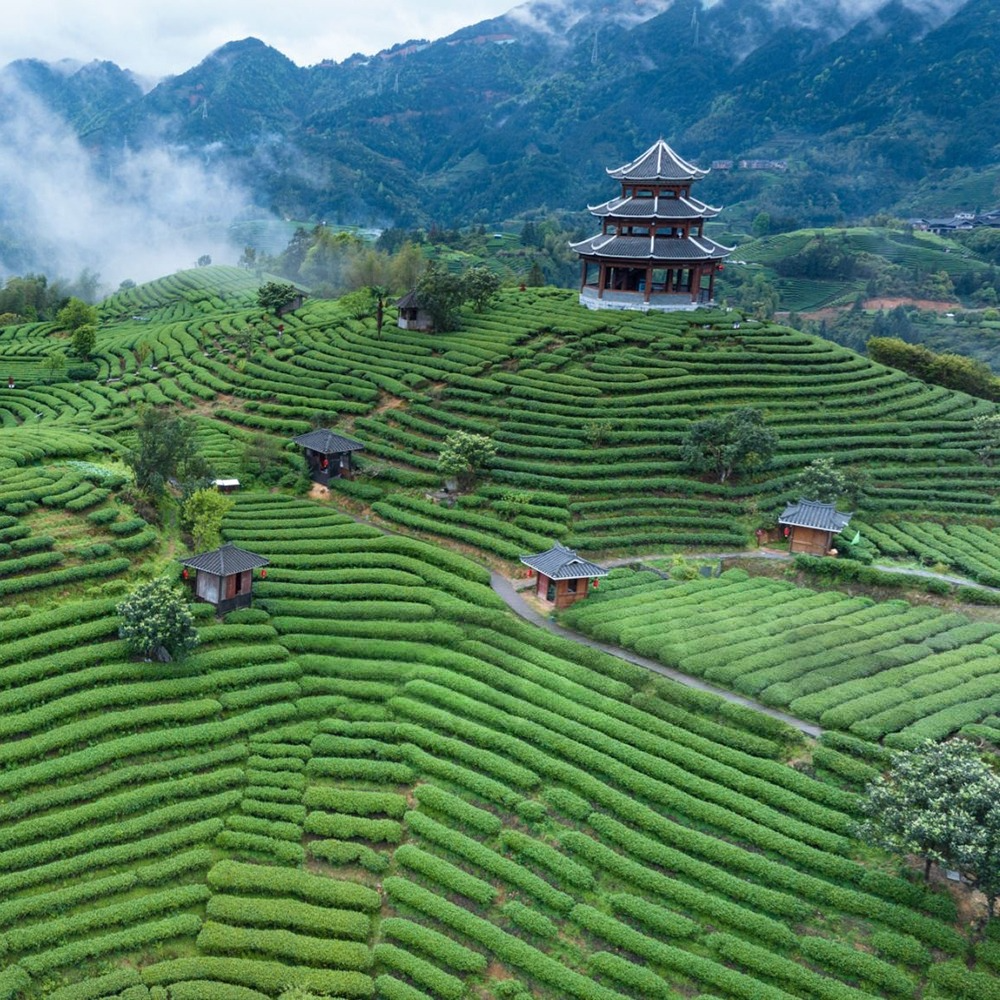 Чай композиційний розсипний Копакабана 250 г - фото 6
