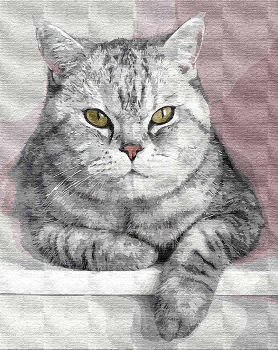 Картина по номерам Идейка "Мой пушистый друг" 40х50 см (KH4201)