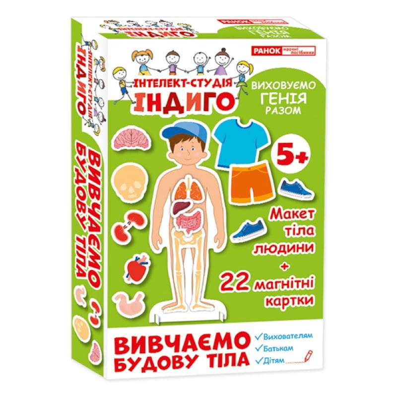 Игра настольная Ranok Creative Індиго "Вивчаємо будову тіла" (13109081) - фото 1