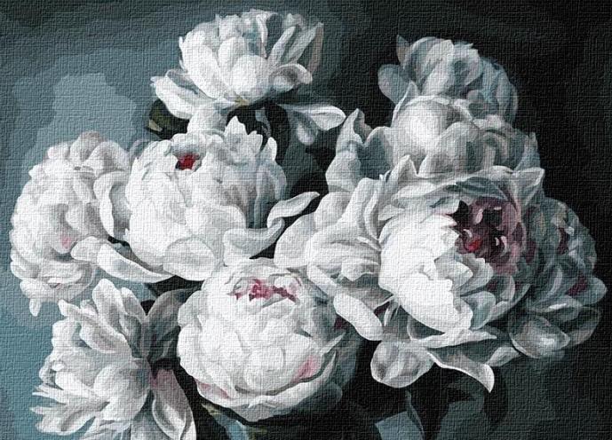 Картина по номерам Идейка Цветы Белые пионы 40х50 см в термопакете (КНО3130-mt)