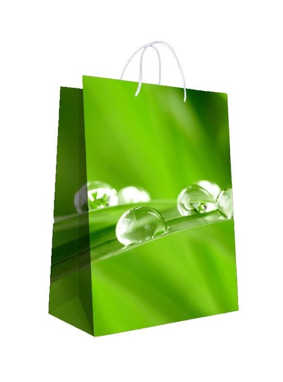 Пакет подарунковий ППМ Свято 150х210х80 мм Зелений принт