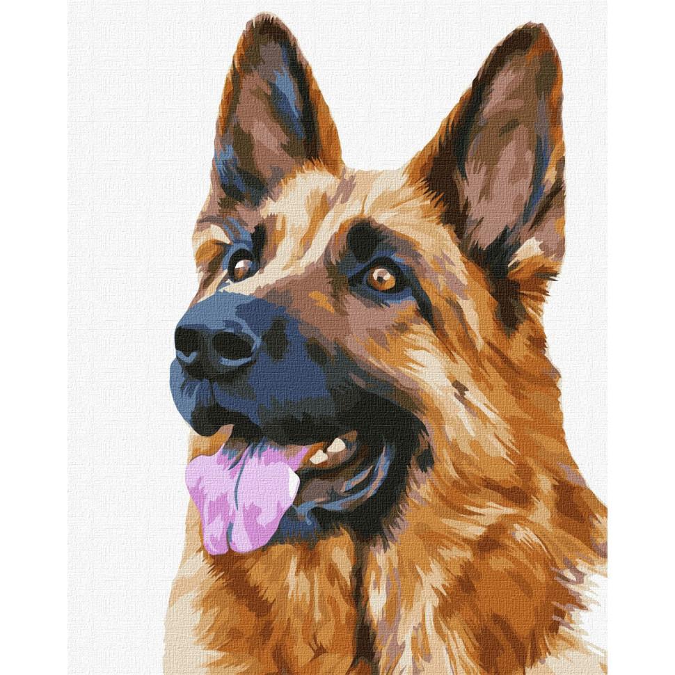 Картина за номерами Ідейка Вірний друг 40х50 см (KHO4308)