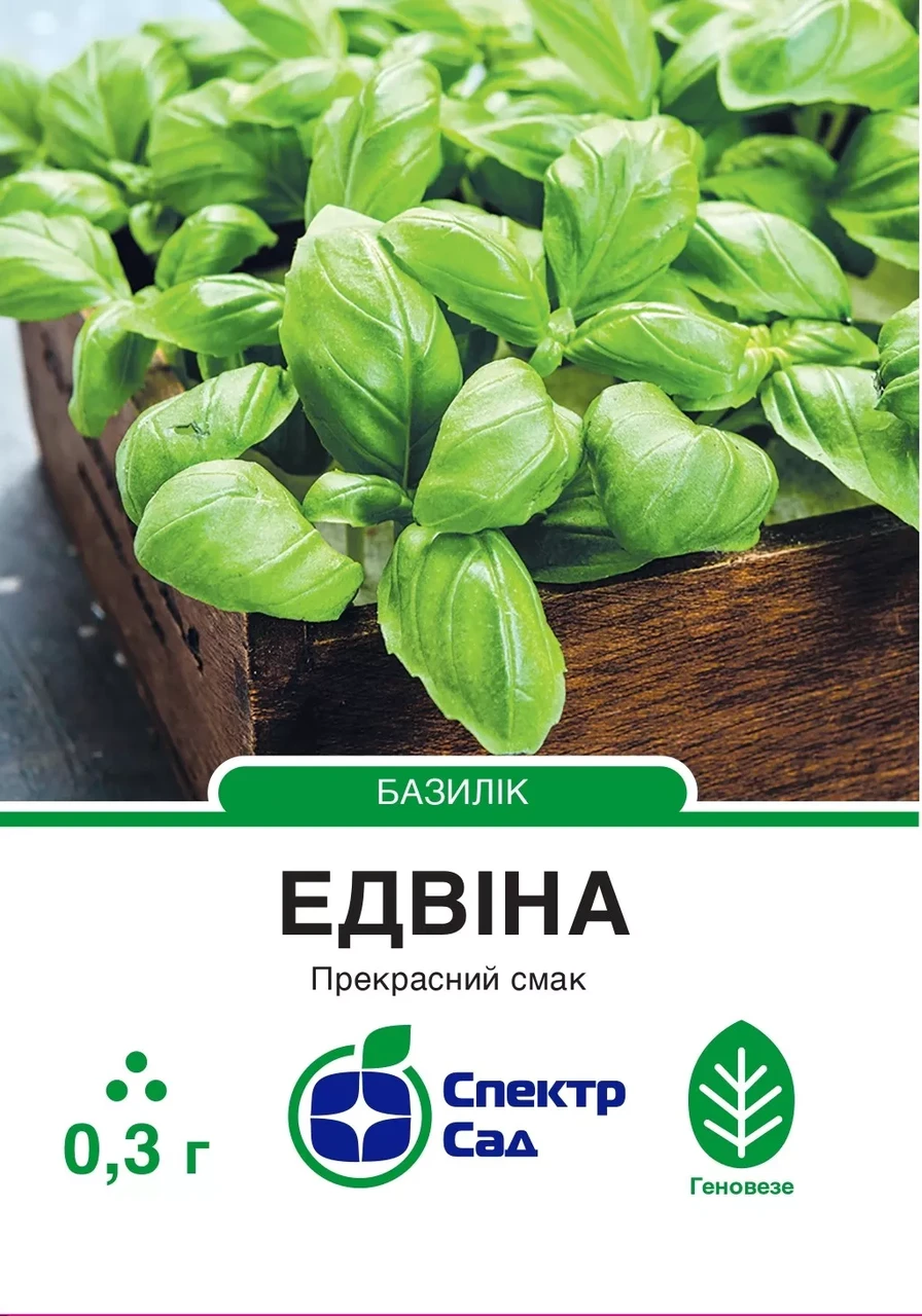 Насіння Enza Zaden Базилік Едвіна 0,3 г (2853360214)