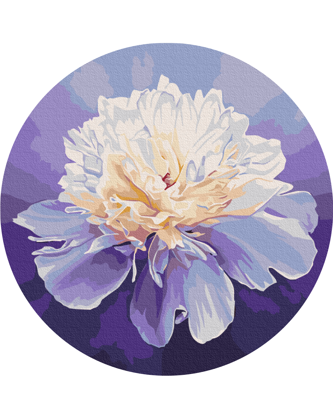 Картина за номерами Brushme Ніжний півонія 30 см (RC00074M) Картина за номерами Brushme Ніжний півонія 30 см (RC00074M)