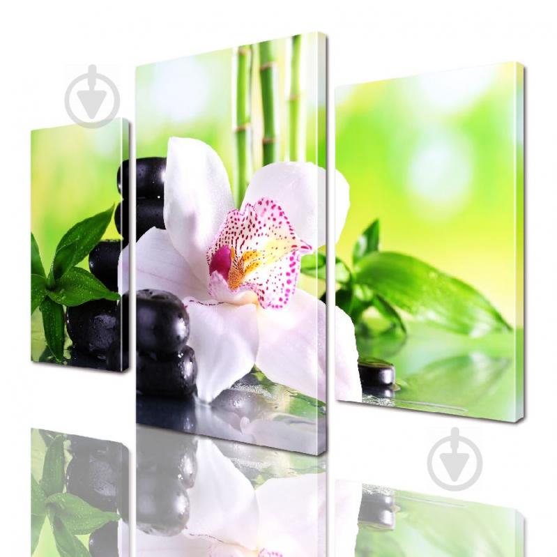 Модульная картина ArtStar цветы ADFL0173 размер 55 х 70 см